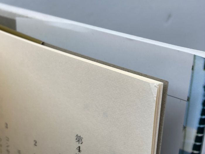ロックフェスの社会学:個人化社会における祝祭をめぐって (叢書