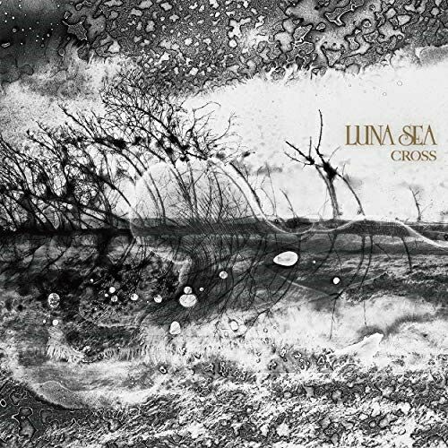 LUNA SEA　コルクボード LUNA SEA コルクボード