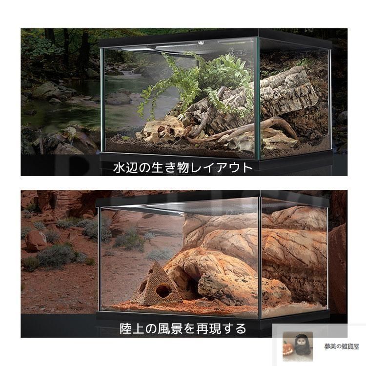 グラステラリウム爬虫類飼育セット　おまけ盛りだくさん（写真に写ってるものすべて） グラステラリウム 爬虫類情報 | 爬虫類用品・エキゾテラのジェックス