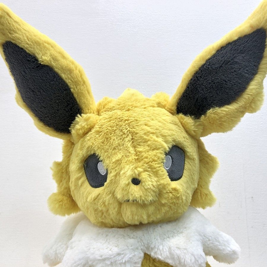 Pokemon Center ポケモンセンターオリジナル ふわふわ抱きぬいぐるみ