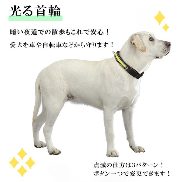 最新入荷 光る首輪 ベルト 犬用リード ドッグラン 夜の散歩 中型犬