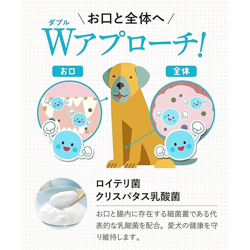 歯ブラシ 歯磨きジェル