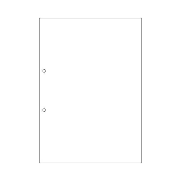 (まとめ) ヒサゴ マルチプリンター帳票(エコノミープライス) A4 白紙 2穴 BPE2001 1箱(2500枚) 〔×4セット〕