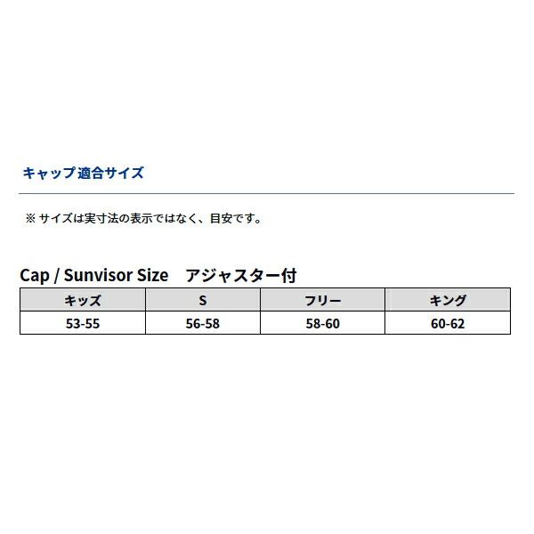 ≪'24年9月新商品！≫ ダイワ ゴアテックス タフキャップ DC-1824W ダークレッド フリーサイズ