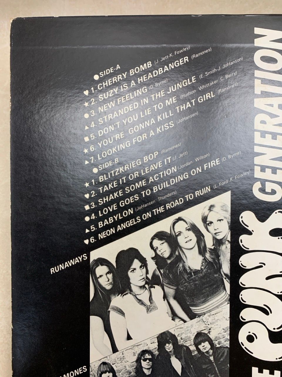 決定盤！これがパンクだ LP We Are Punk Generation LP 帯付 ライナー欠 決定盤！これがパンクだ WE ARE PUNK