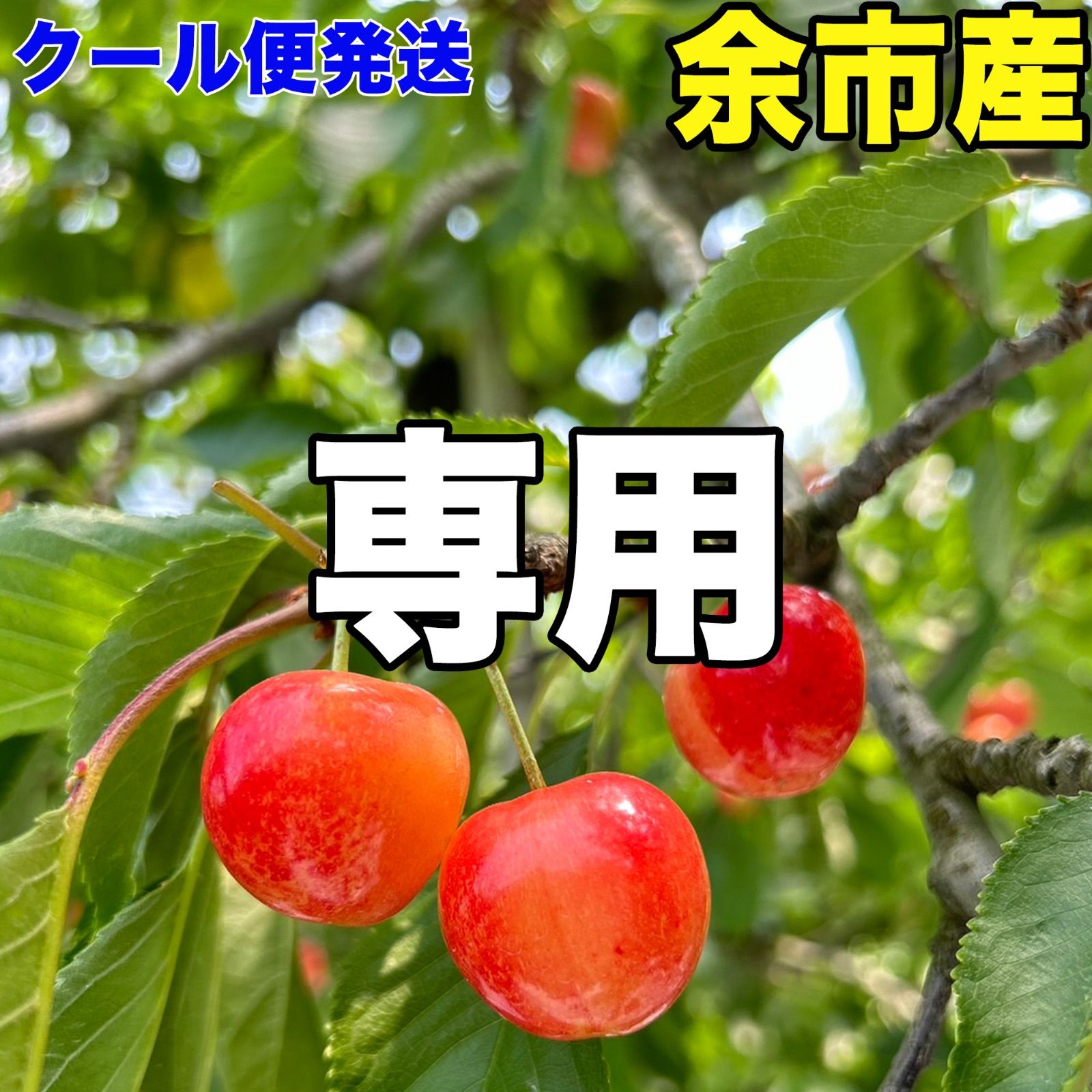ここまど様