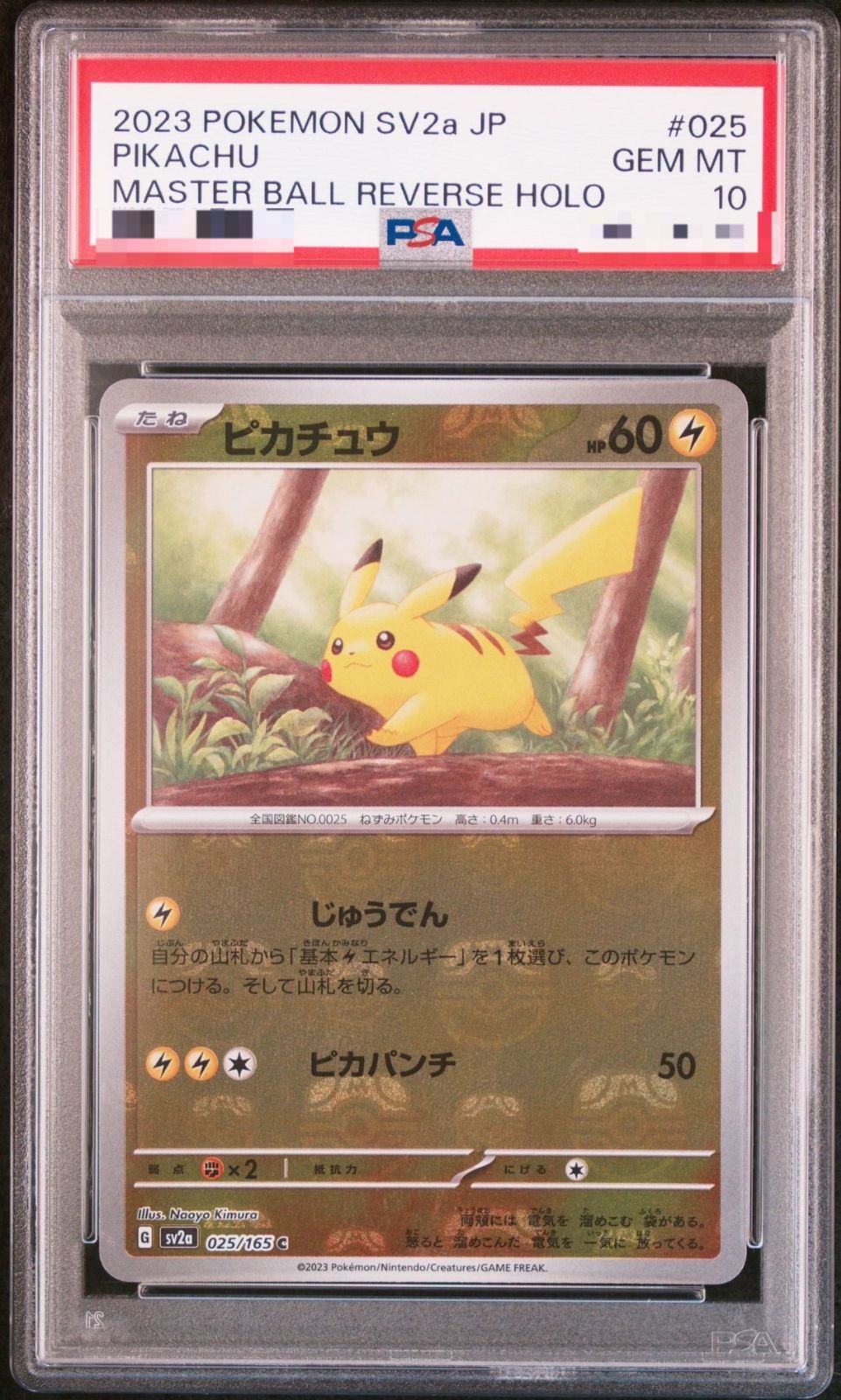 PSA10】ピカチュウ マスターボールミラー ポケモンカード 151 - 【公式通販】ストア