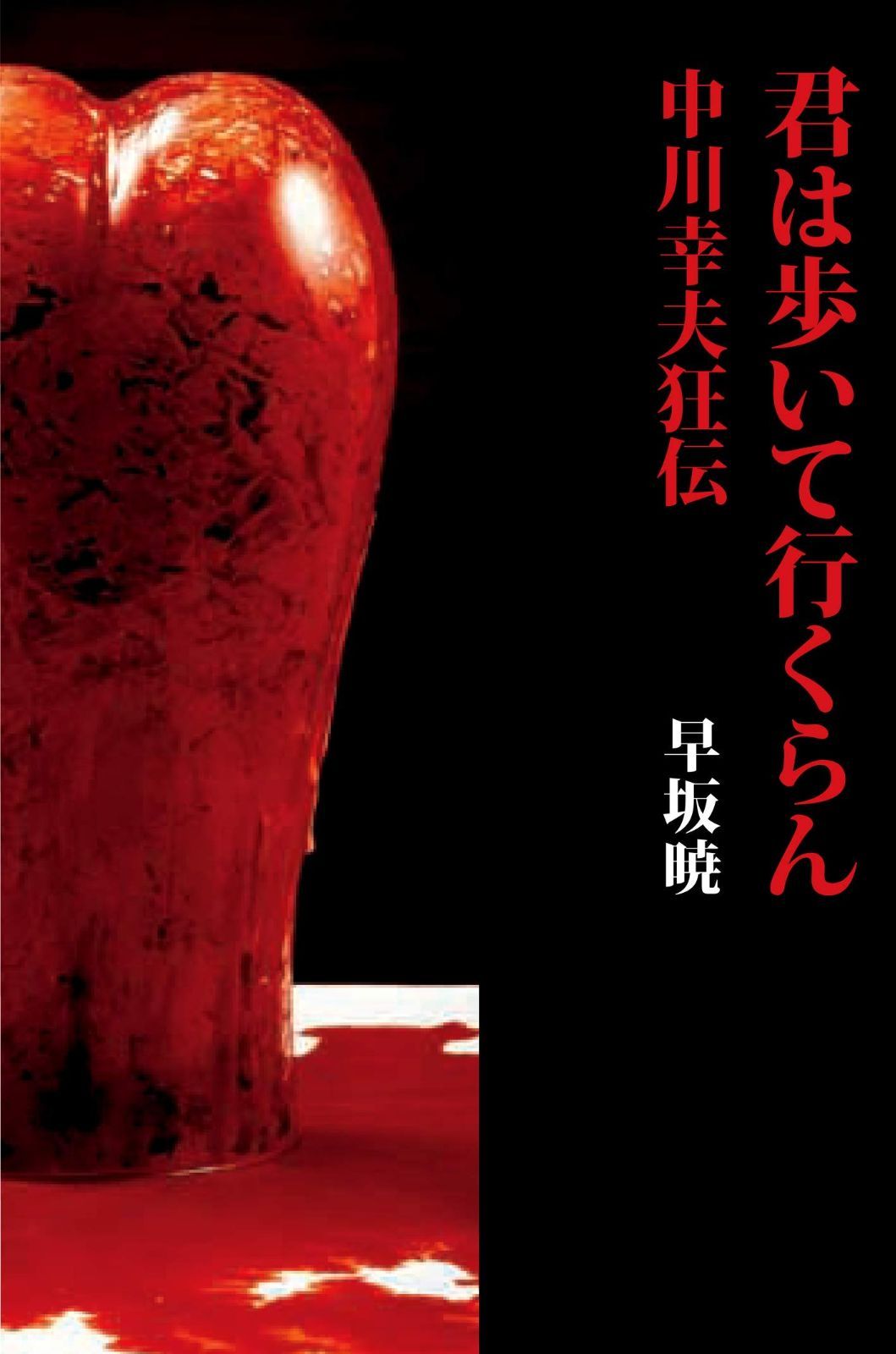 君は歩いて行くらん: 中川幸夫狂伝