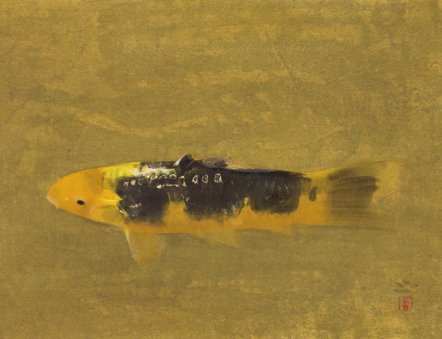 hhp568 美品 掛け軸 梶喜一作 鯉図 共箱 二重箱 太巻 都路華香師事