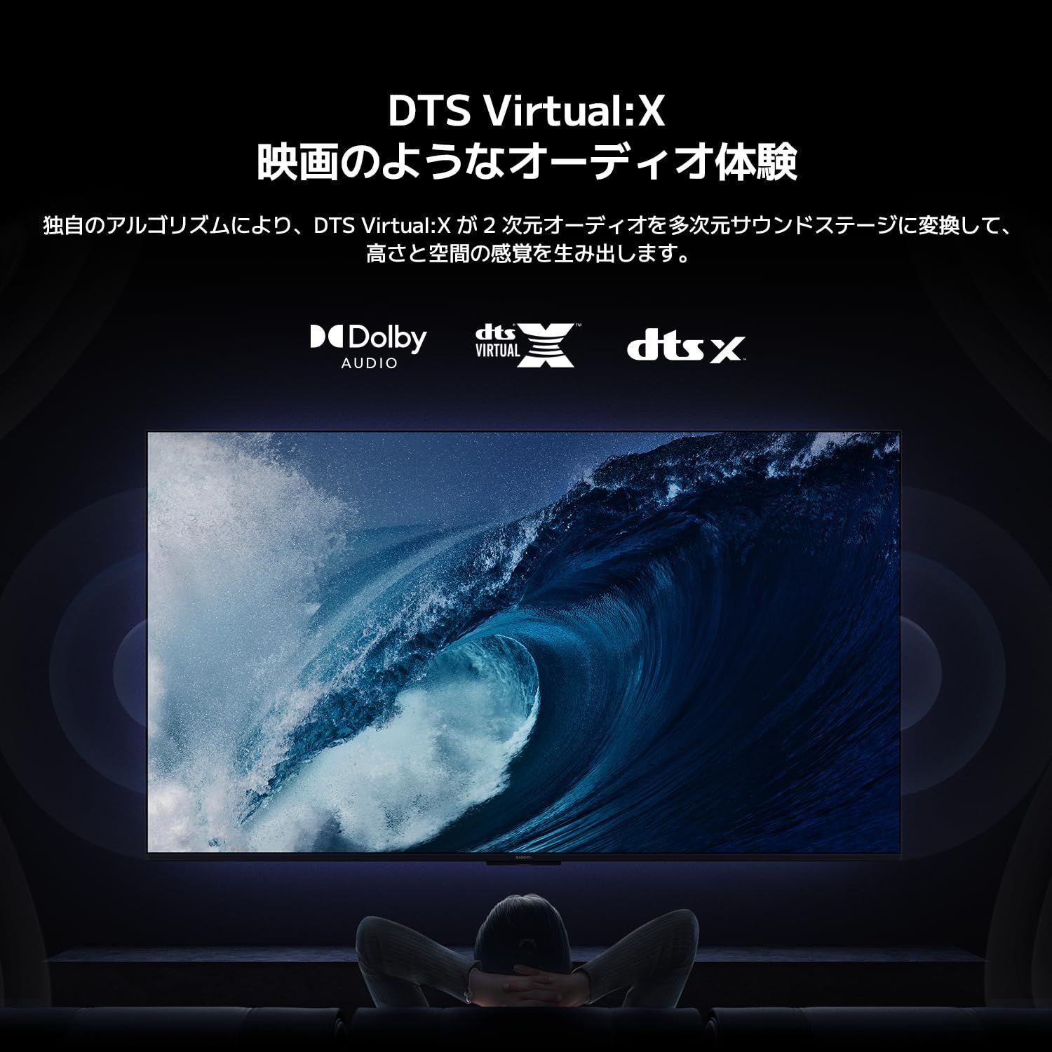 チューナーレステレビ