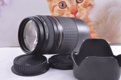 望遠はここから！Canon Zoom LENS EF75-300mm F4-5.6 USM イベントに大活躍 ！キヤノン 望遠レンズ Zoom LENS 交換レンズ 一眼カメラ EOS Kiss レンズフード