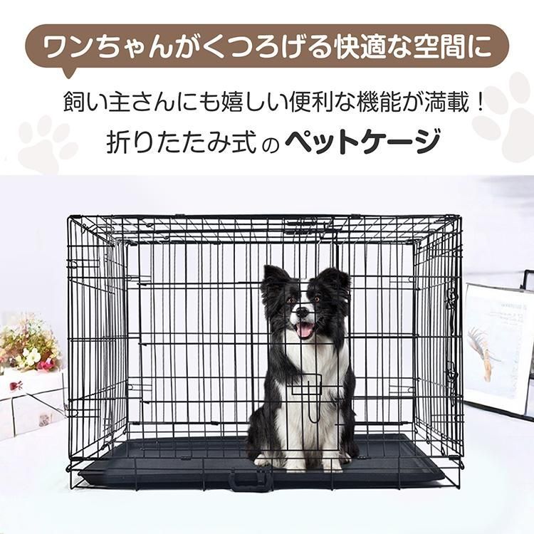 ドア 取っ手付き