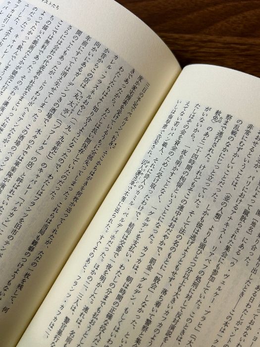回想のなかのカフカ: 三十七人の証言 平凡社 ハンス ゲルト コッホ