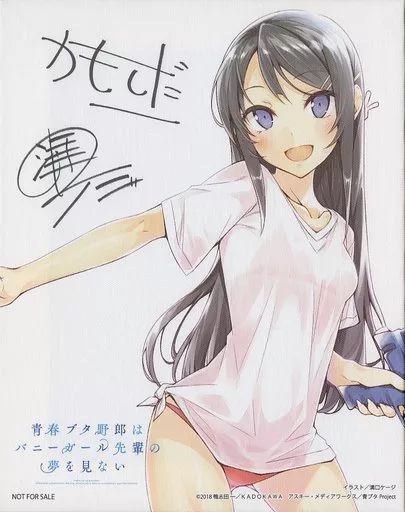 くらしを楽しむアイテム 中古】雑貨 [単品] 桜島麻衣 複製サイン入りキャンバスアート その他