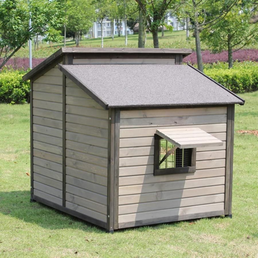 大型犬