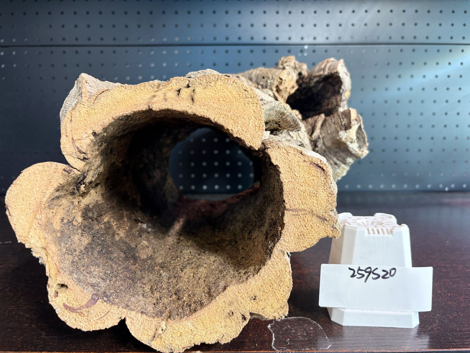 キャノンコルク コルク樹皮