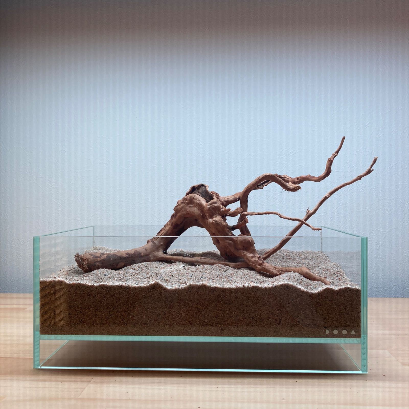 受注品：流木 一点物 上質流木 禅 60cm水槽用 859981 : チャーム