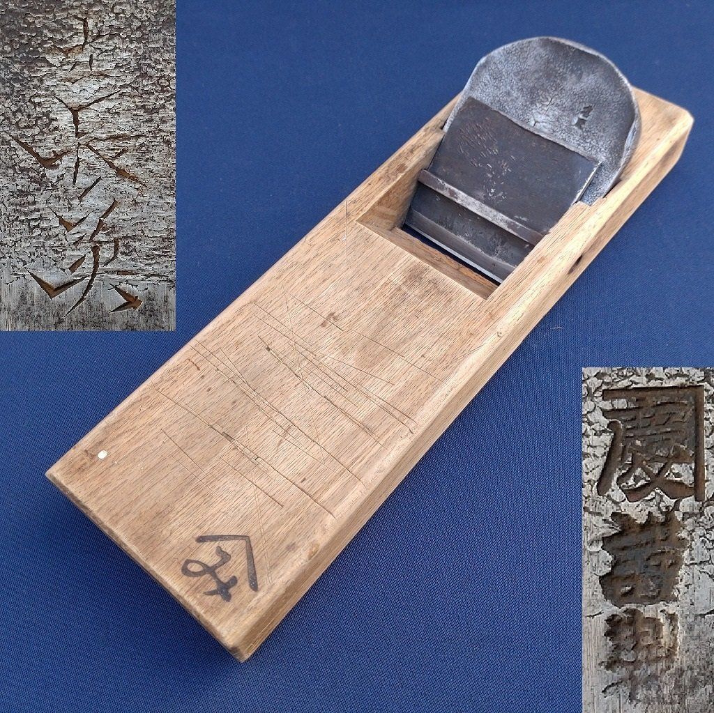 巨大C品】シボリアゲハ モルフォ蝶 ベスト 蛾ピカソモスモルフォチョウ