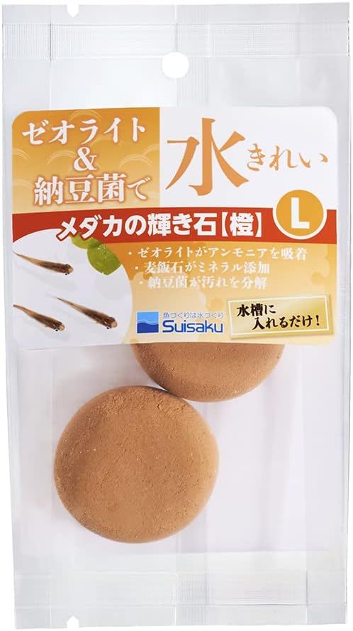 ○昆虫標本セット額入り サソリ + クモ（スパイダー）標本/博物館