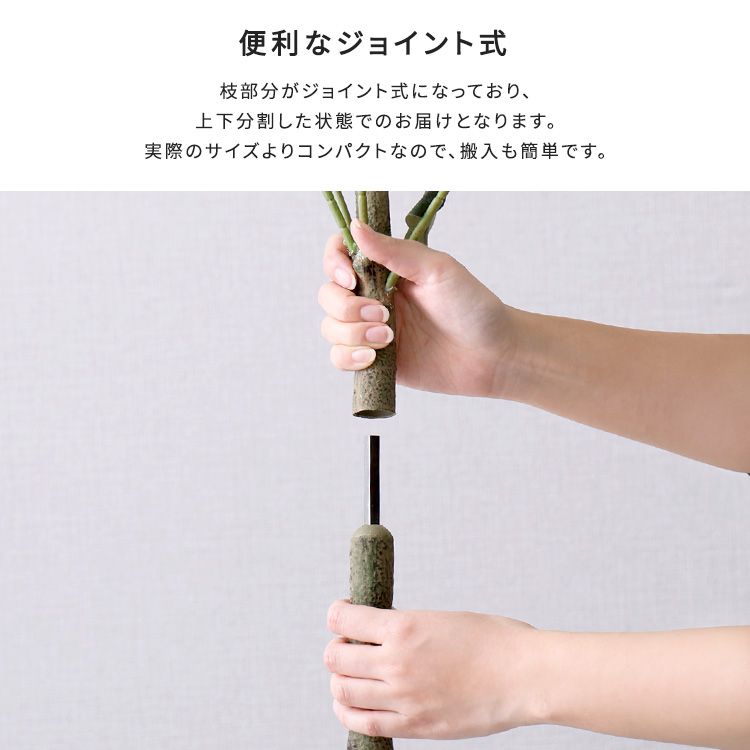 お手入れ簡単フェイクグリーン