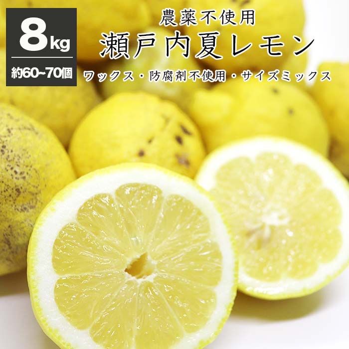 【6月26日発送開始】農薬不使用 広島県産 レモン 8kg 健ちゃんファームの瀬戸内レモン 約50〜70個前後 サイズミックス ノーワックス 防腐剤不使用 農家直送