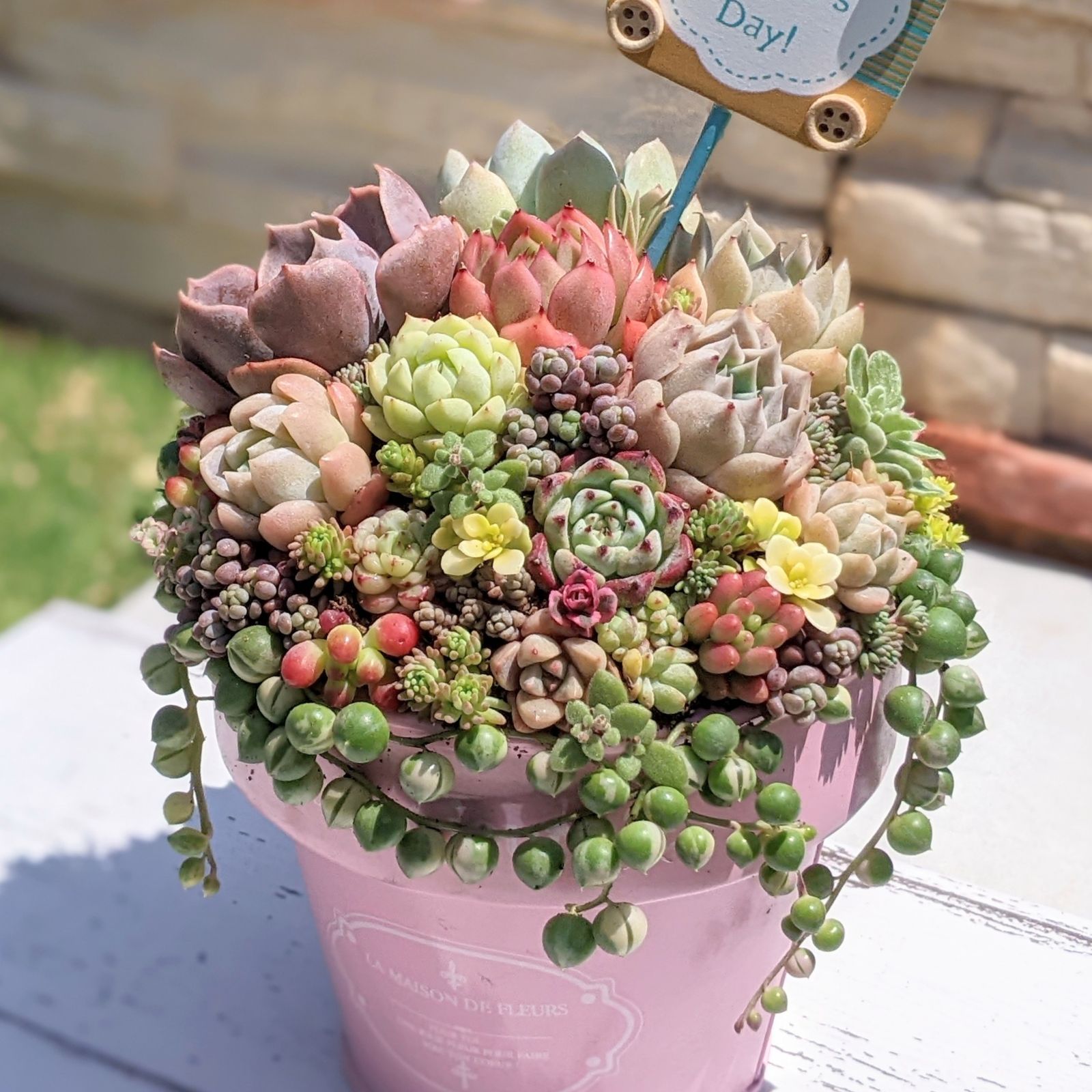 ❀多肉植物寄せ植え❀ そのまま飾れる♫ - メルカリ