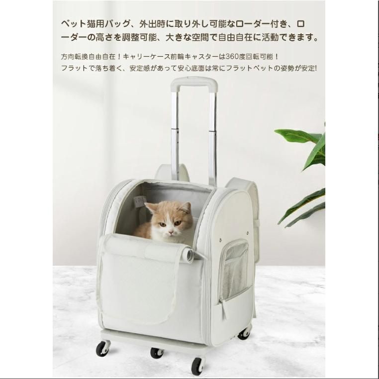 犬 猫