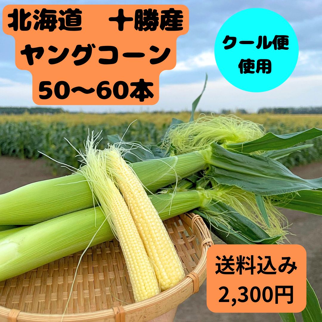 北海道 十勝産 ヤングコーン 50本〜60本 - メルカリ