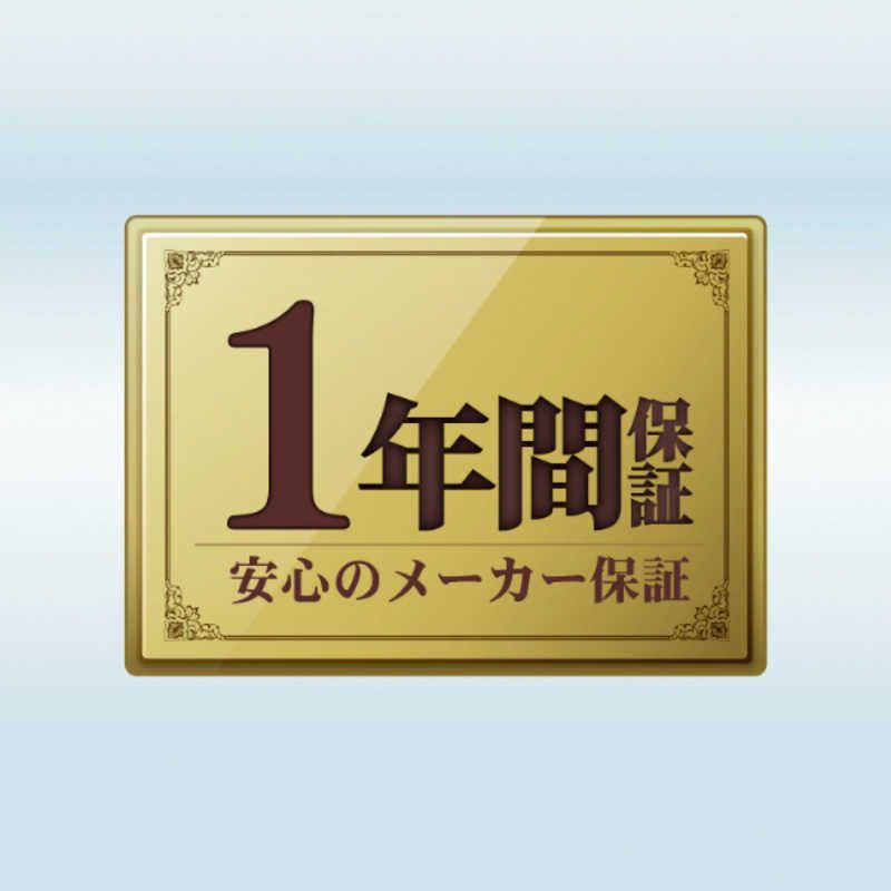 対応 スティックSSD