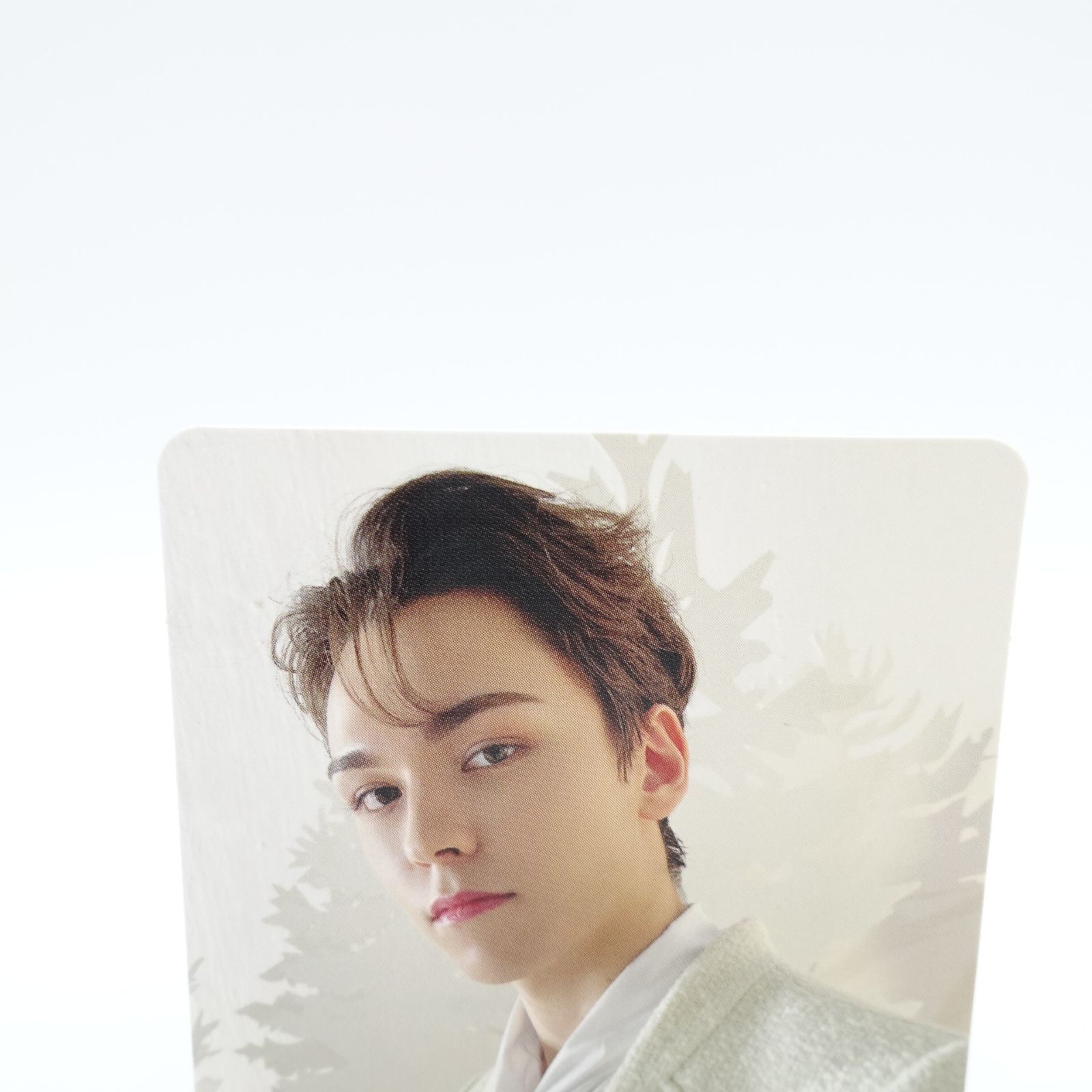 SEVENTEEN バーノン VERNON あいのちから セブチトレカ フォト カード 