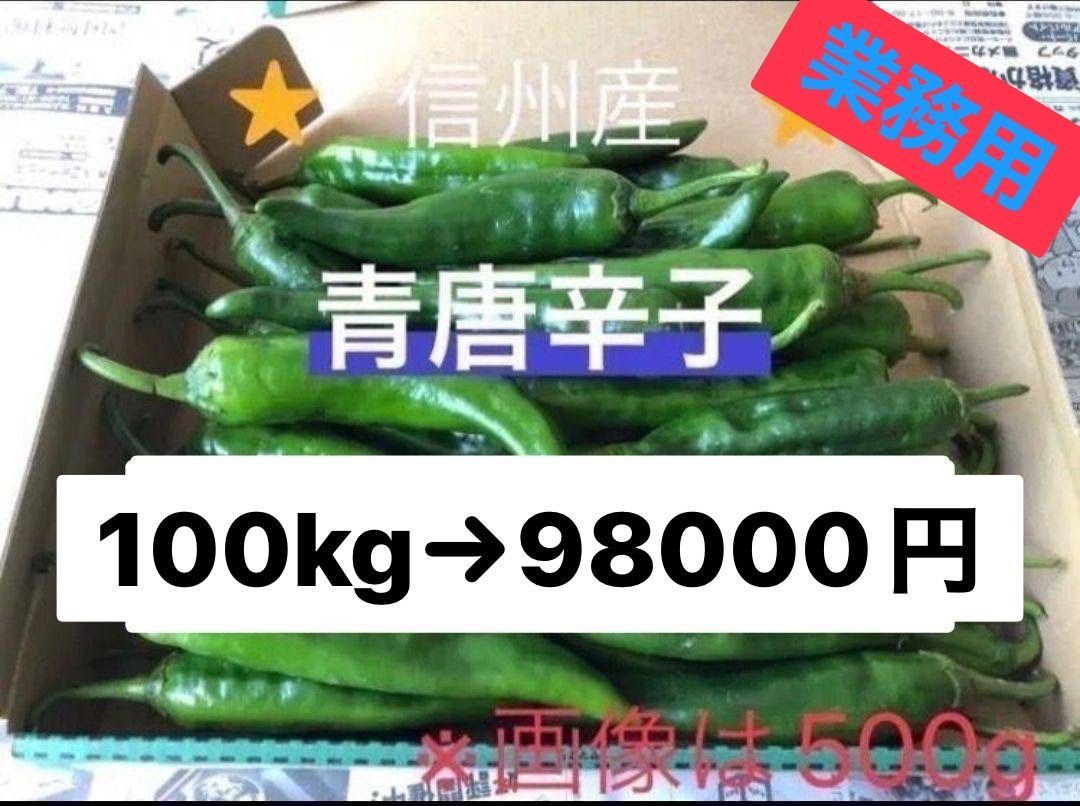 業務用 激辛青唐辛子 100kg 長野県産 信州 産地直送 - メルカリ