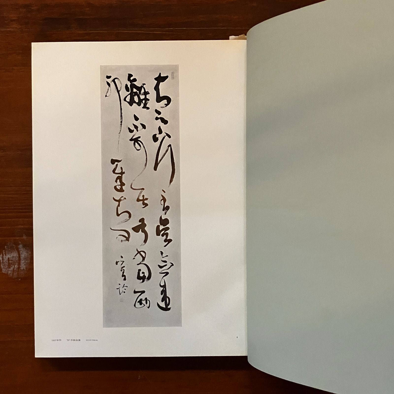 西川寧自選作品 西川寧[著] 二玄社 1968.2 237p (おもに図