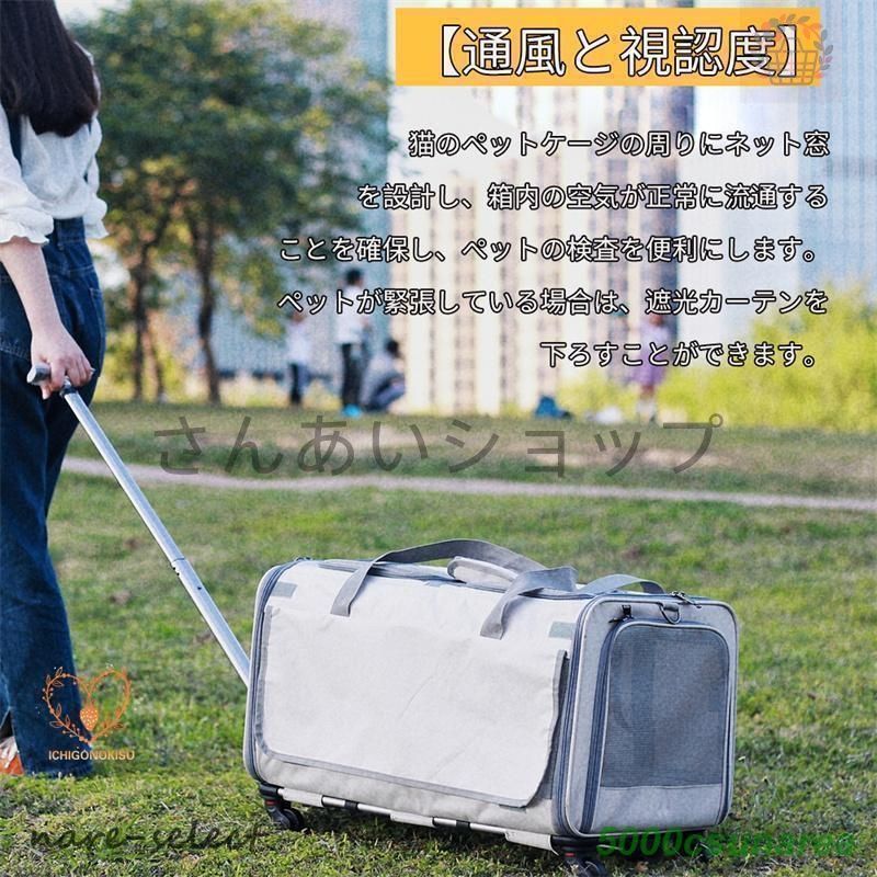 ホイエロール付き