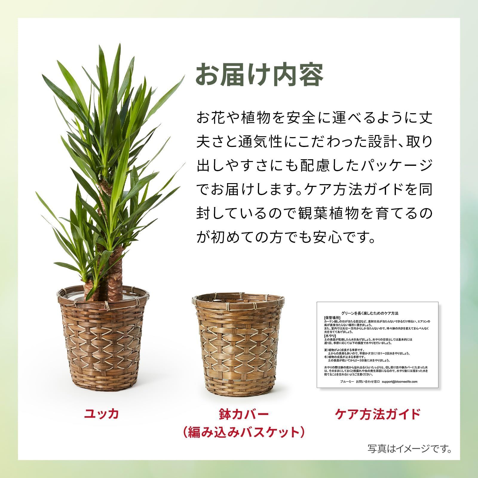 開店祝い 結婚式