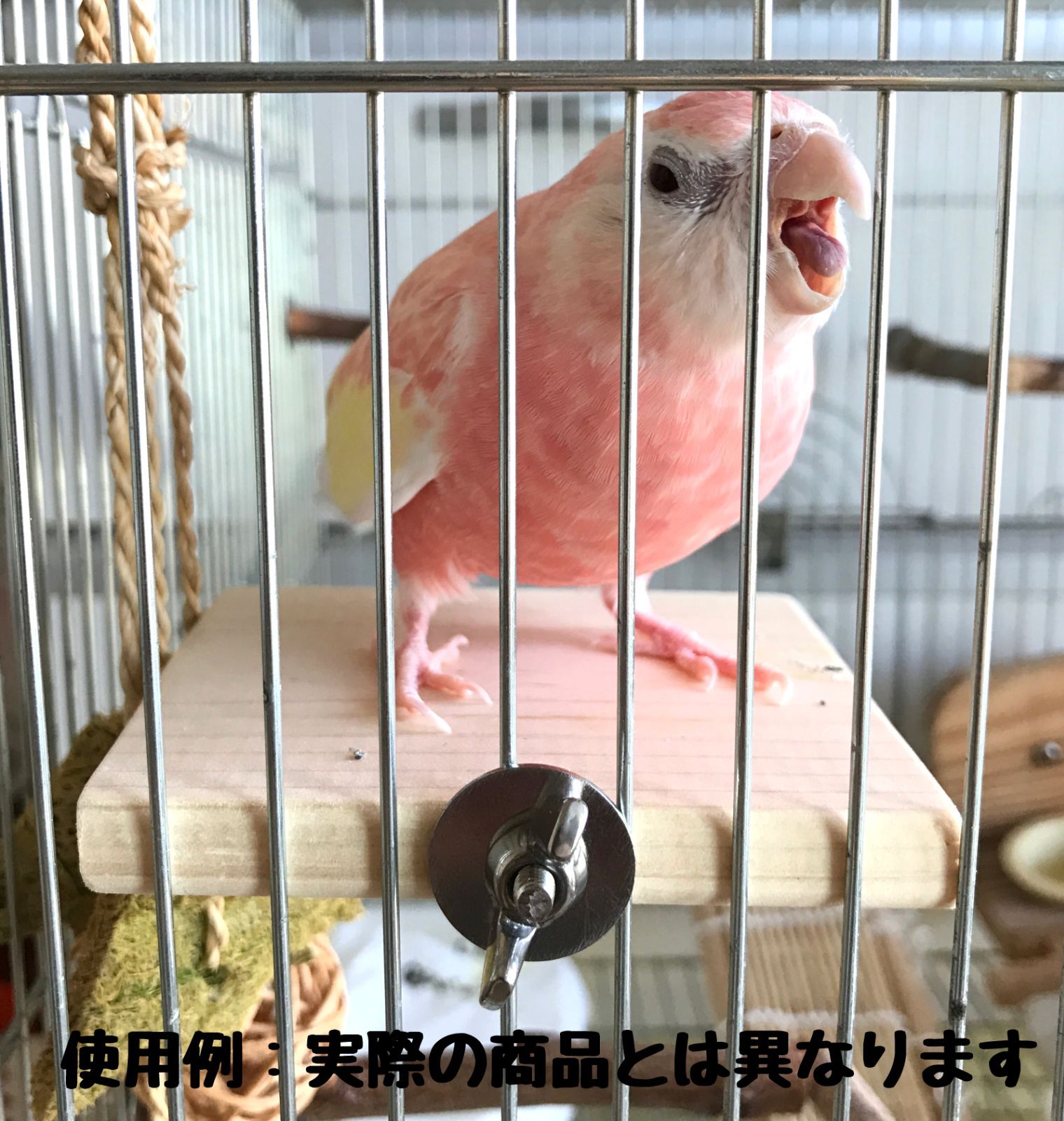 四角い止まり木 2枚セット インコ・小動物用ステップ - メルカリ