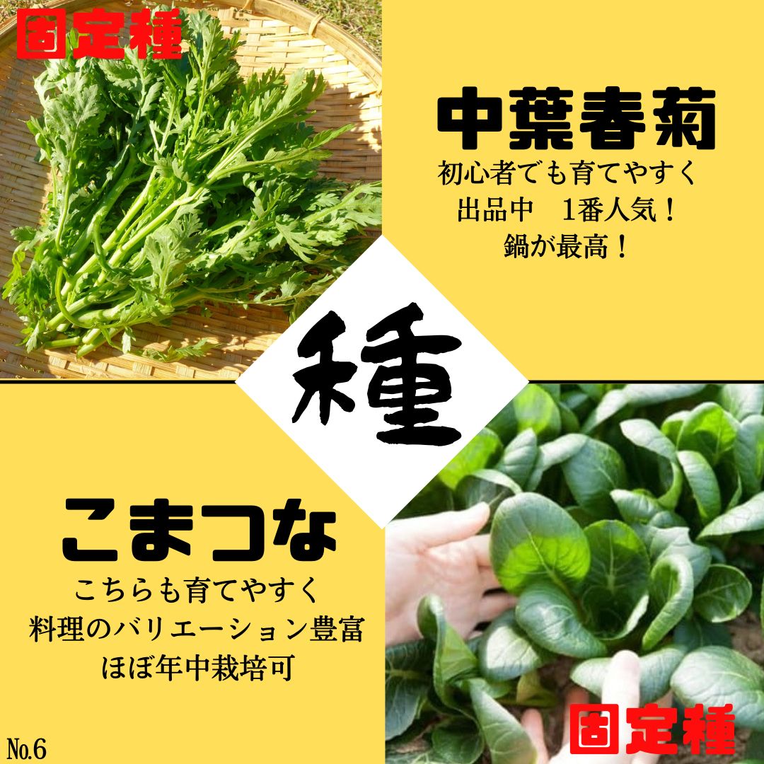 固定種野菜の種と育て方