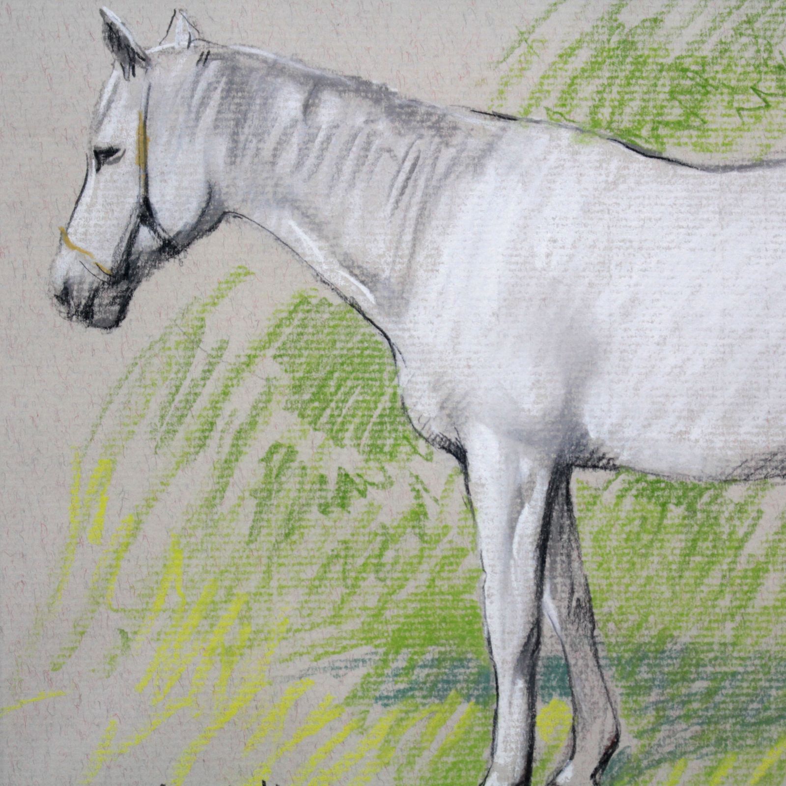 山岸正巳『白馬』パステル画【真作保証】 絵画 山岸正巳『白馬』パステル画【真作保証】 絵画 - メルカリ