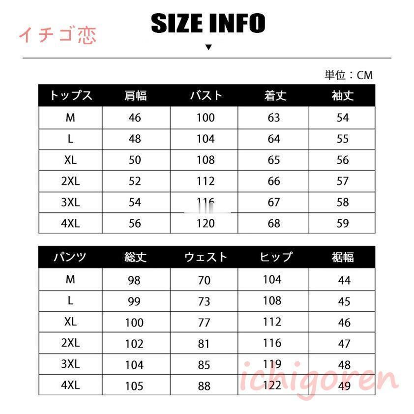 スクールシャツ
