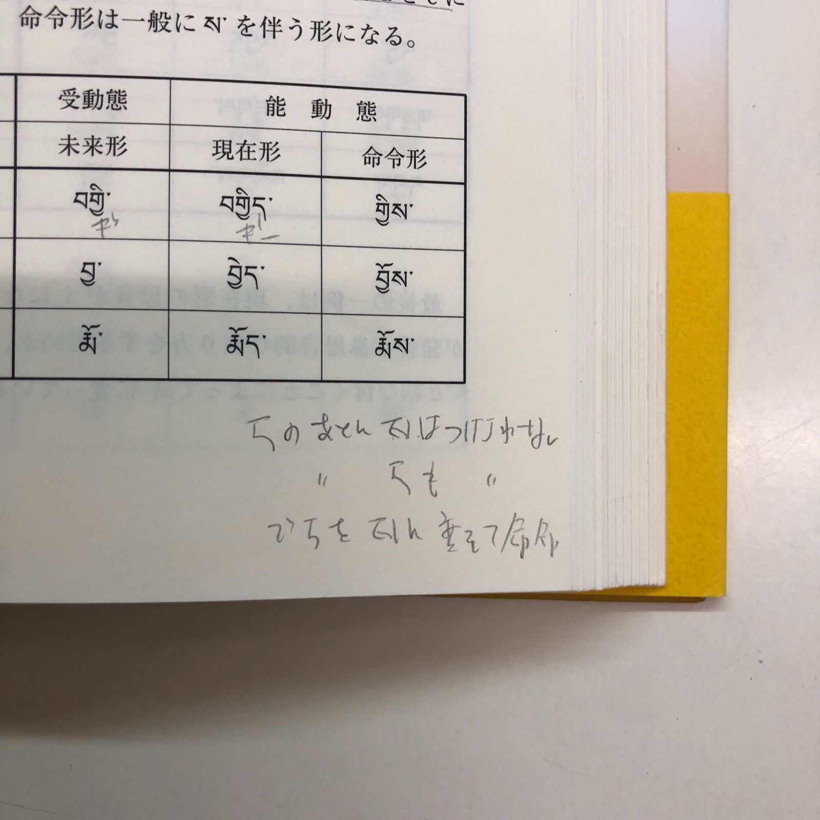 チベット語文語文典 山口