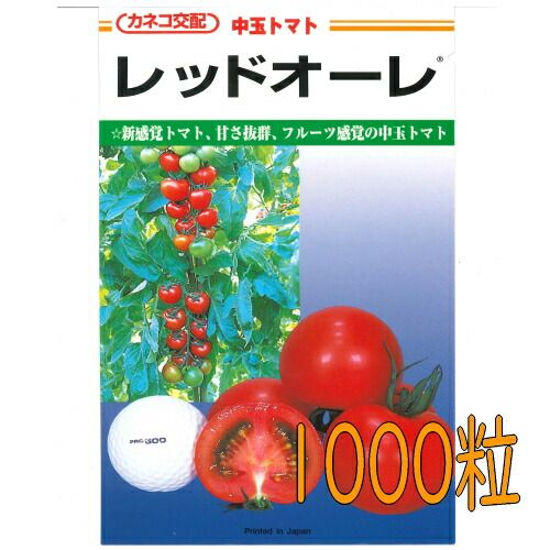 カネコ種苗 レッドオーレ トマト １０００粒