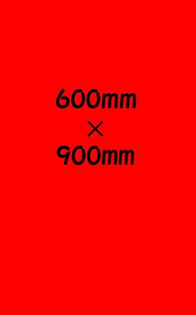 ＥＶＡ泥除け3mm　600mm×900mm　赤