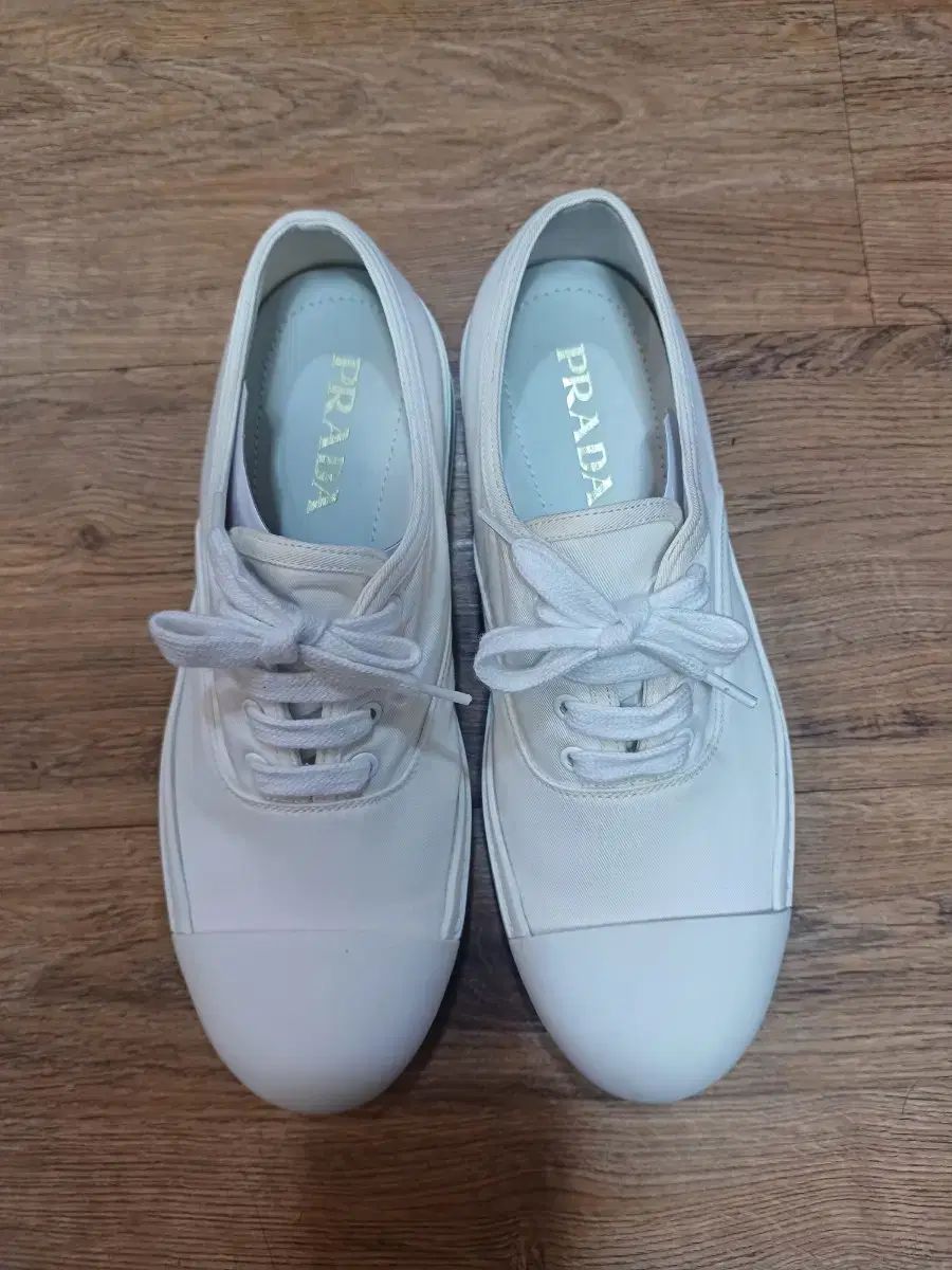 PRADA(プラダ) キャンバス スニーカーズ 270