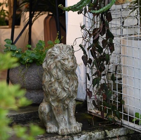 動物