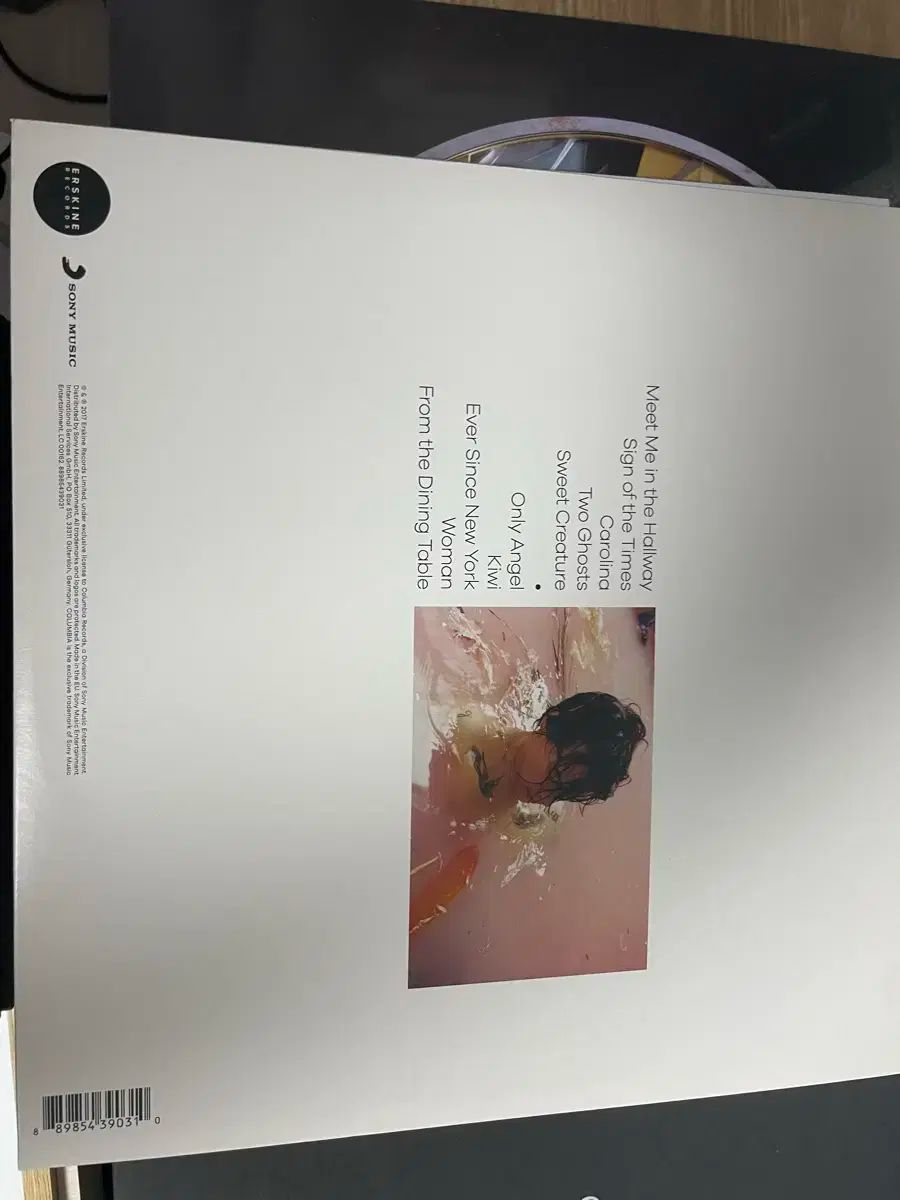 解離 スタイルズ Harry Styles LP ヴァイナル ビニールレコード アルバム 外 2 腸