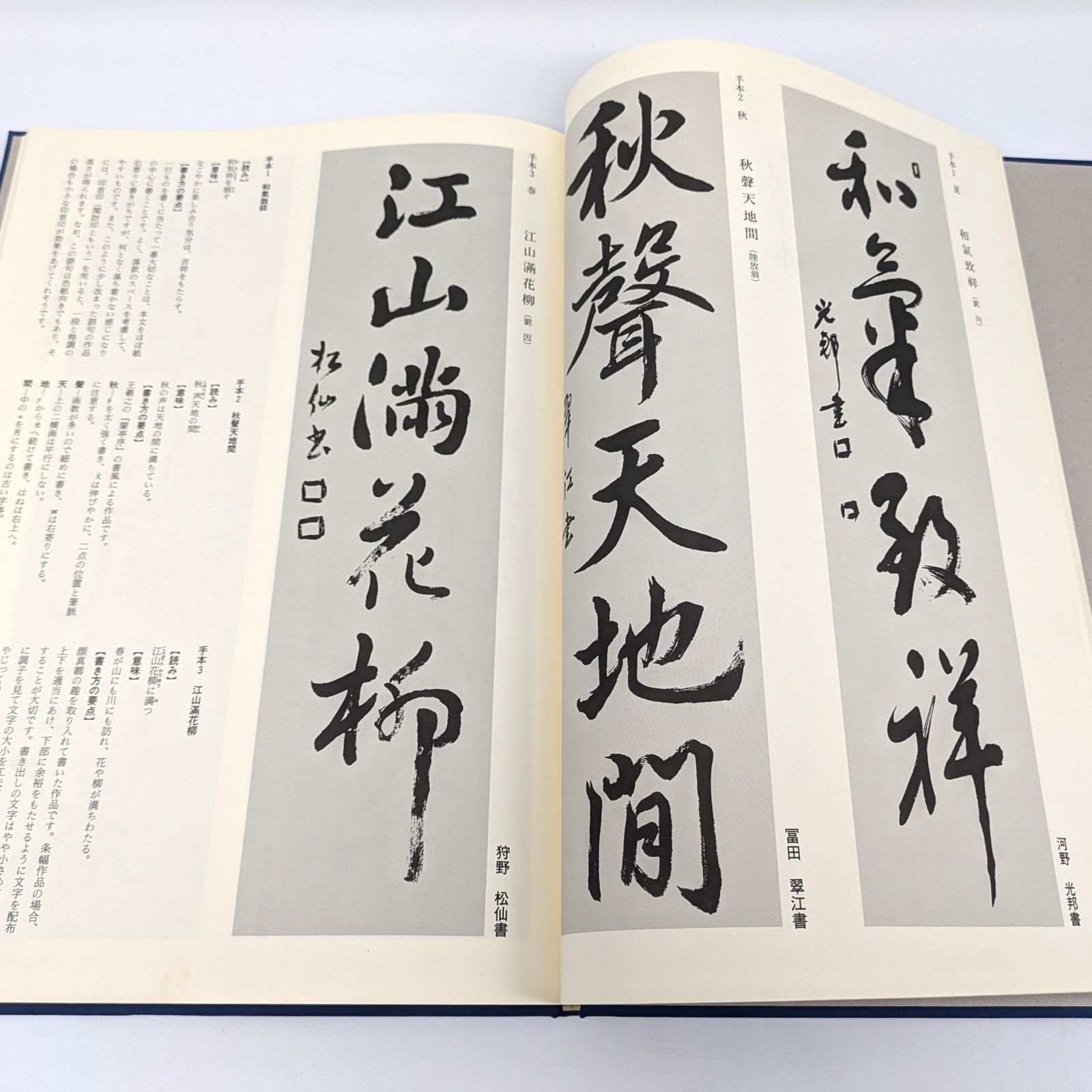 日本書道大系 9冊　書道 e35dc53f1e9a556a55584c74bc555b
