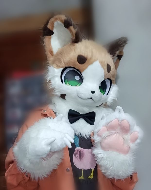 ☆ファースーツ 着ぐるみセット NO.162 猫 可愛い ケモノ ファースーツ