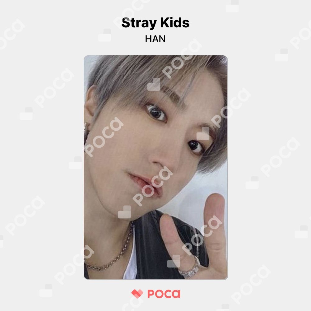 stray kids 5star 中華　ハン　han jisung トレカ スキズ straykids 5star ハン トレカ6枚セット おまけ付き
