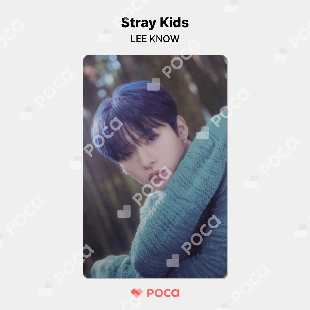 straykids リノ スキズ トレカ 'Stay in STAY' JEJU EXHIBITION