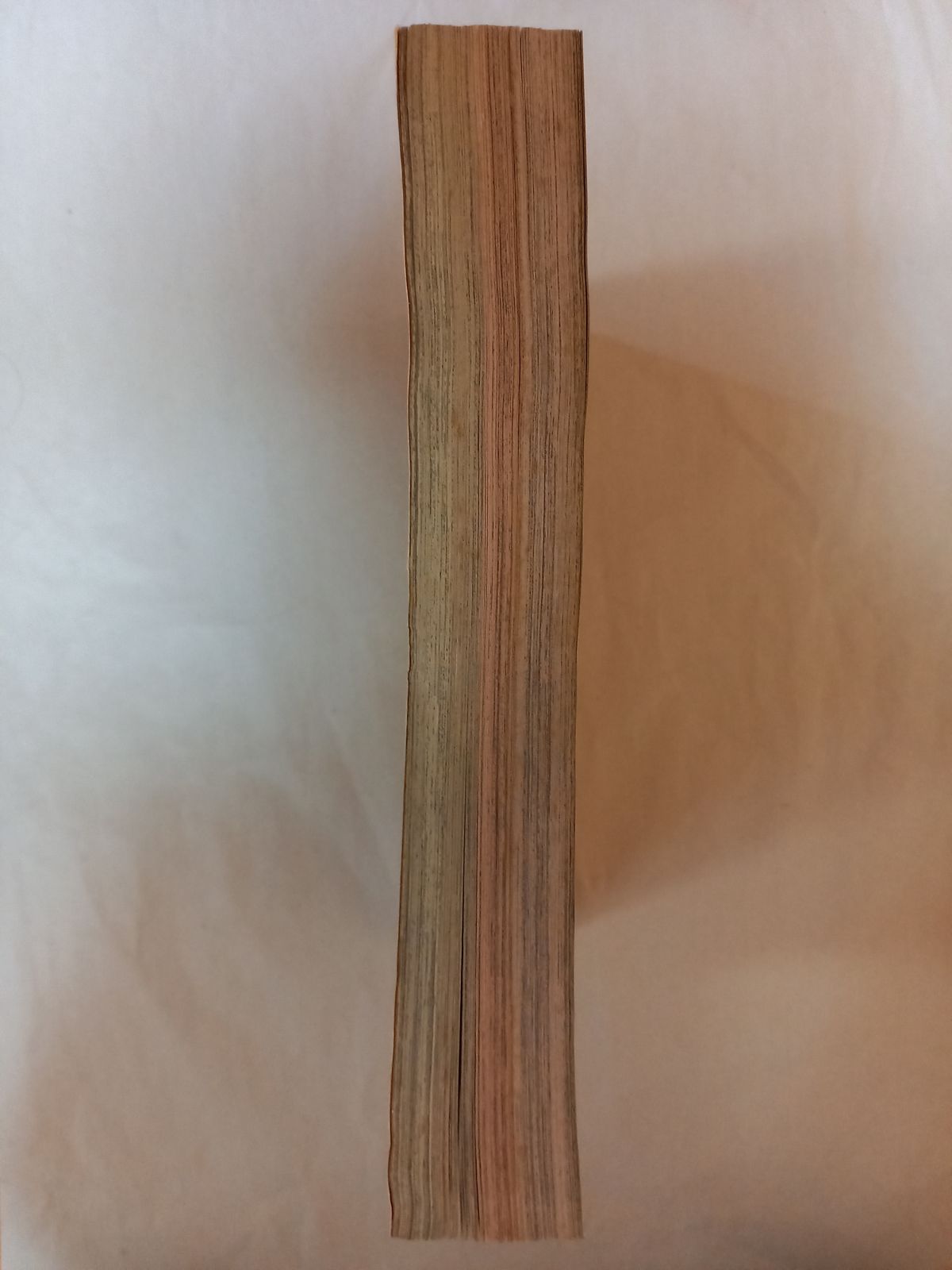 少年ガンガンWING 1997年冬季号 月刊少年ガンガン増刊 武内崇