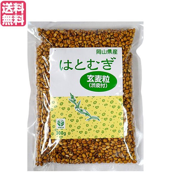 はとむぎ 玄麦粒渋皮付 300g